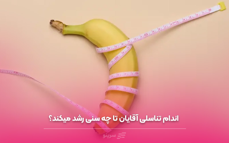 آلت تناسلی آقایان تا چه سنی رشد می‌کند؟